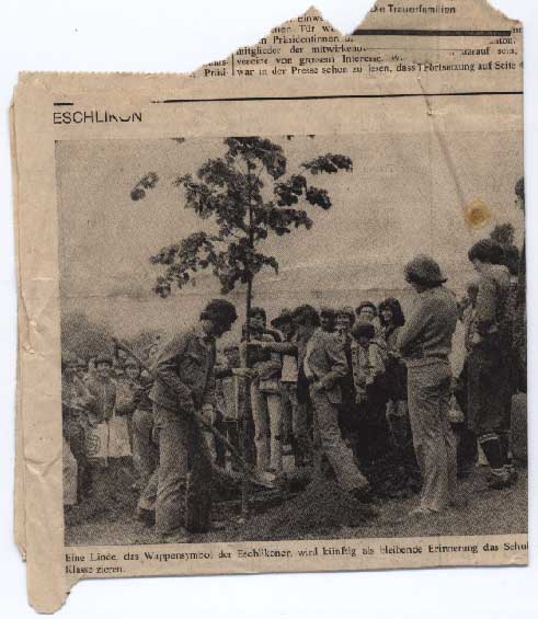 Eschliker Linde setzen zur 800-Jahr Feier Luzern 1978