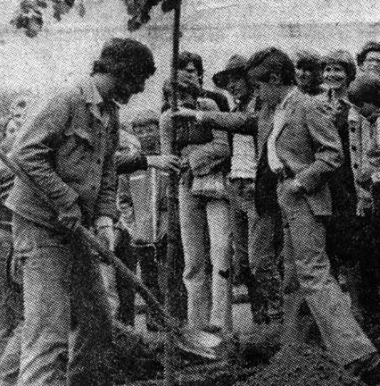 Linde setzen zur 800-Jahr Feier Luzern 1978, Ausschnitt Linde setzen zur 800-Jahr Feier Luzern 1978, Ausschnitt