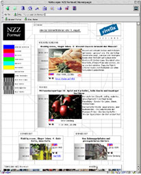 Screenshot NZZ Format