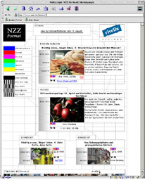 Screenshot NZZ Format Screenshot NZZ Format